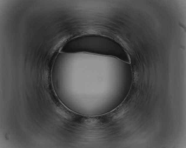 X0000096650444200802050937