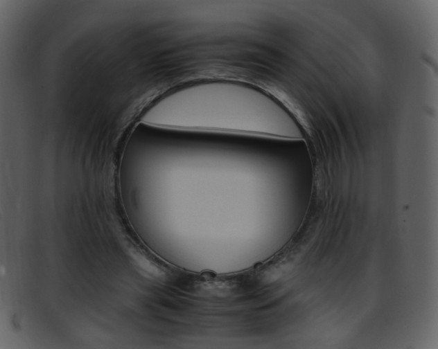 X0000096650445200802050937