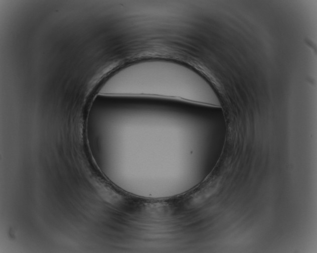 X0000096650446200802050937