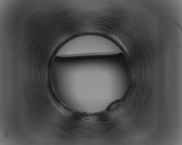 X0000096650447200802050937