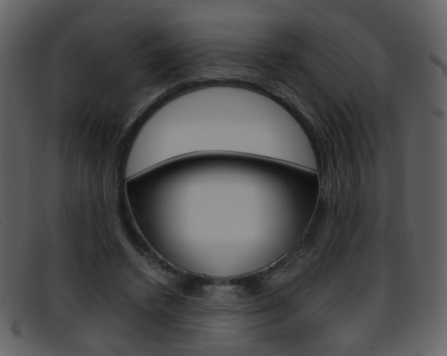 X0000096650448200802050937