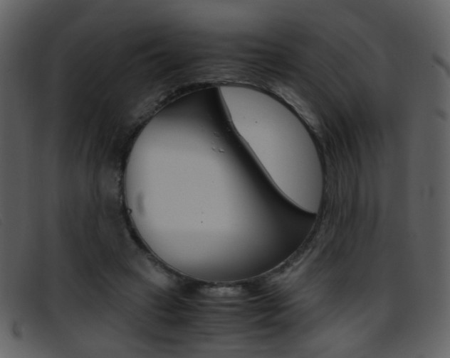 X0000096650449200802050937