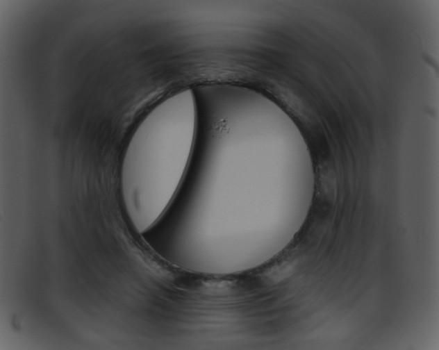 X0000096650450200802050937
