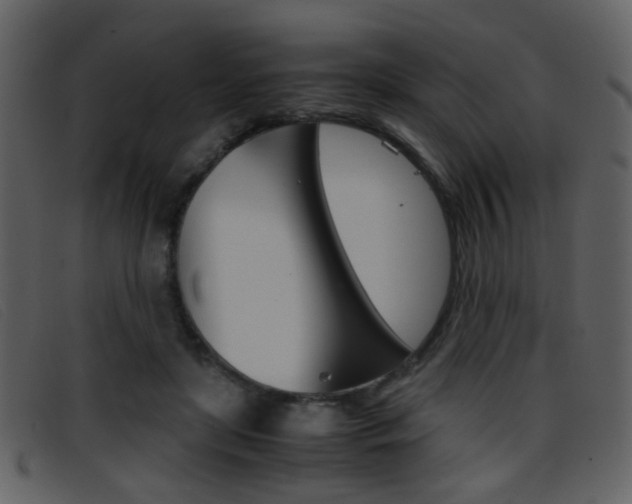 X0000096650451200802050937