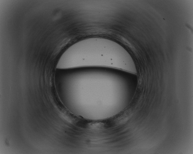 X0000096650452200802050937