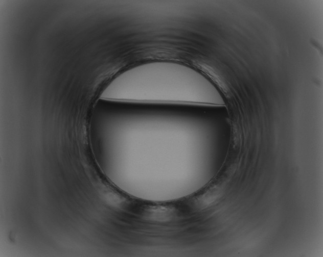 X0000096650453200802050937