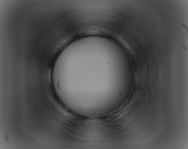 X0000096650454200802050937