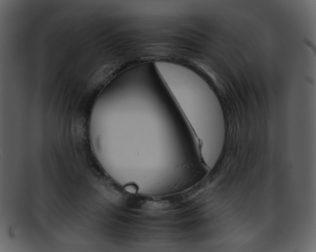 X0000096650455200802050937