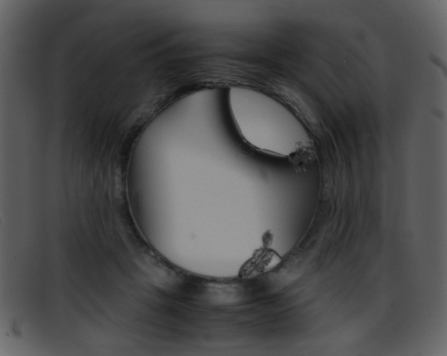 X0000096650457200802050937