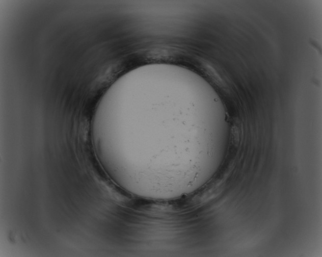 X0000096650458200802050938