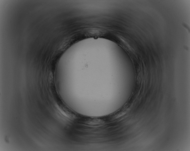 X0000096650459200802050938
