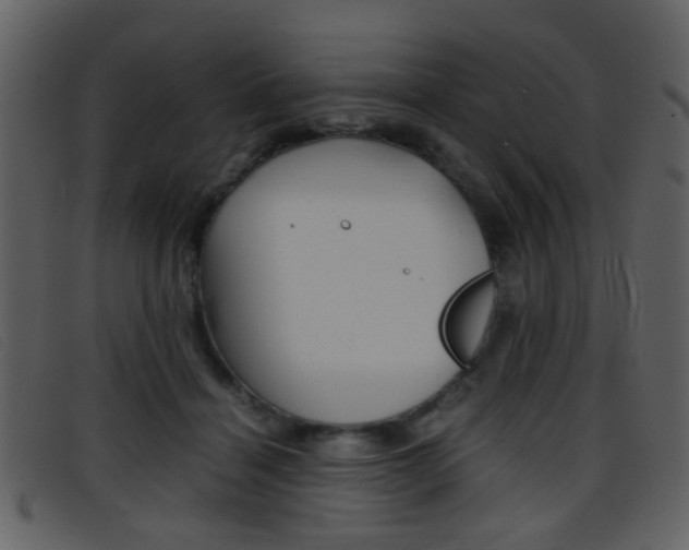 X0000096650460200802050938