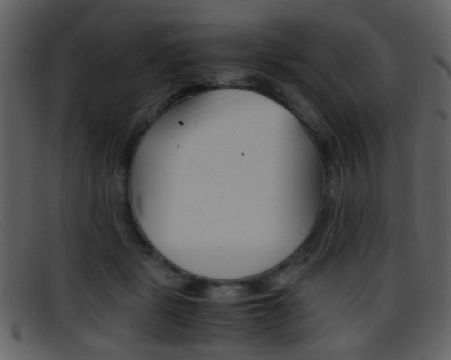 X0000096650461200802050938
