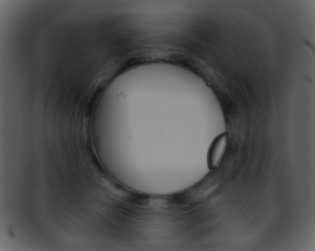 X0000096650462200802050938