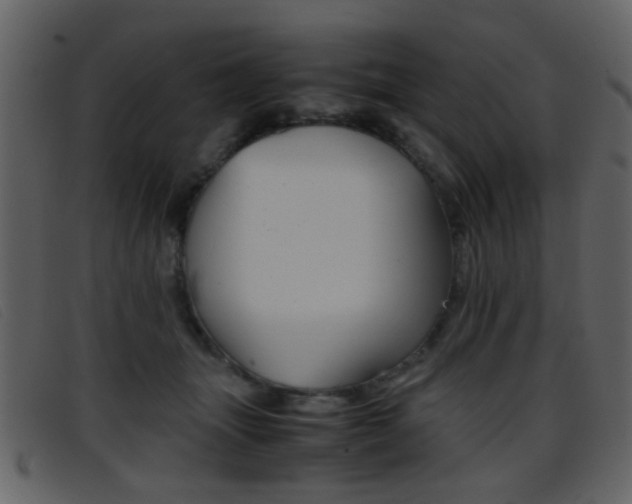 X0000096650463200802050938