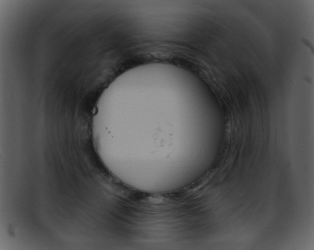 X0000096650464200802050938