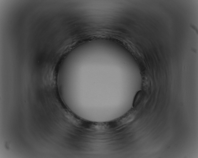 X0000096650466200802050938