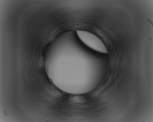 X0000096650467200802050938