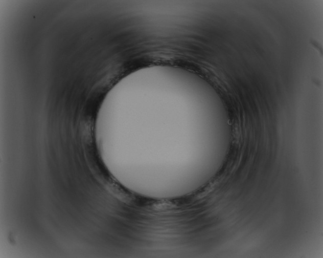 X0000096650468200802050938