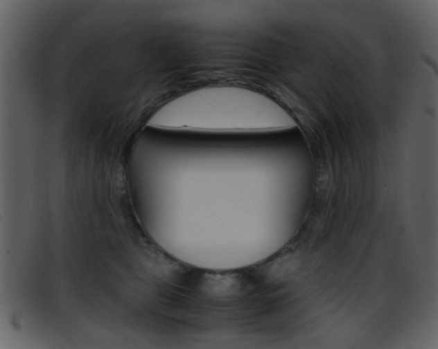 X0000096650469200802050938