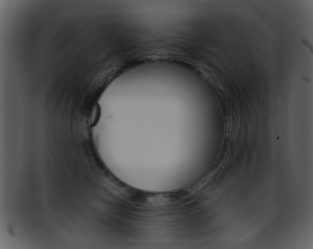 X0000096650470200802050938