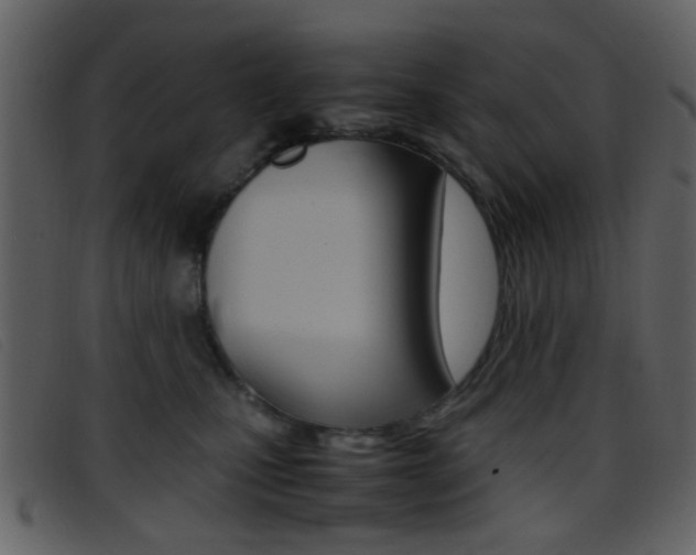 X0000096650471200802050938