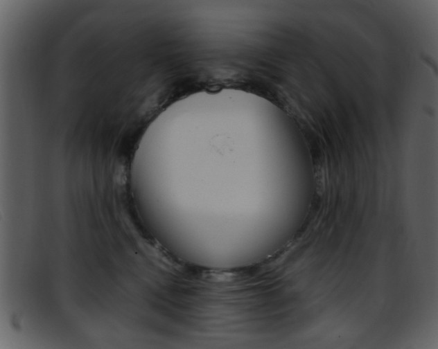X0000096650472200802050938