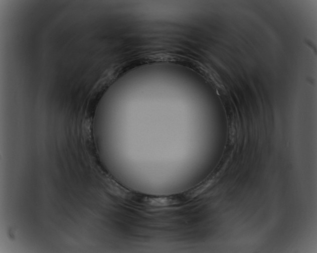 X0000096650473200802050938