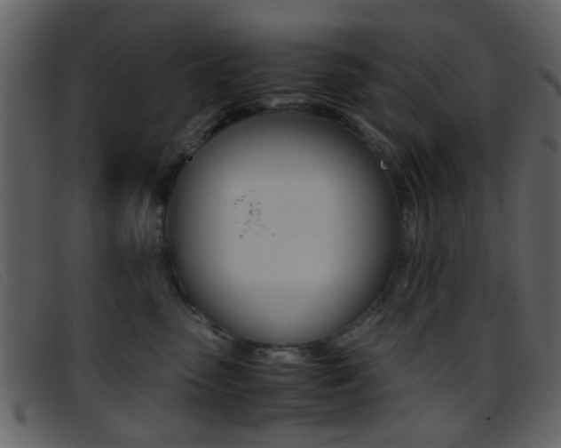 X0000096650475200802050938