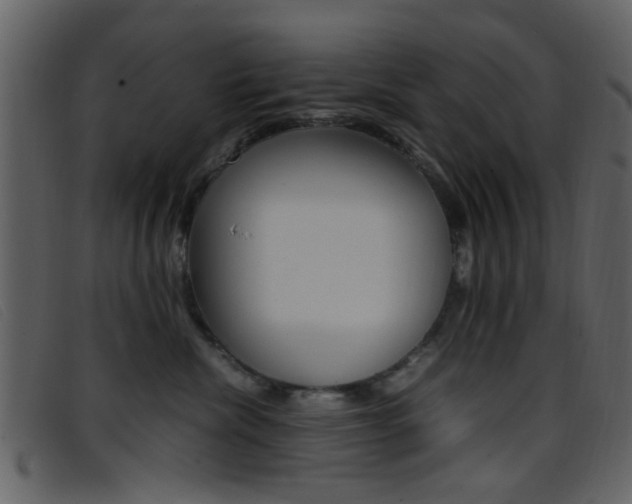X0000096650476200802050938