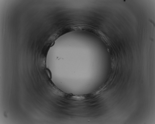 X0000096650477200802050938