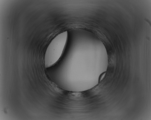 X0000096650478200802050938