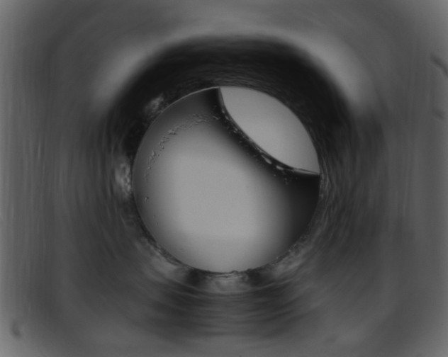 X0000096650479200802050938