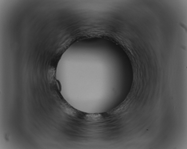 X0000096650480200802050938