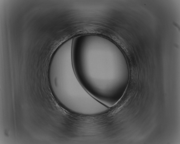 X0000096650481200802050937