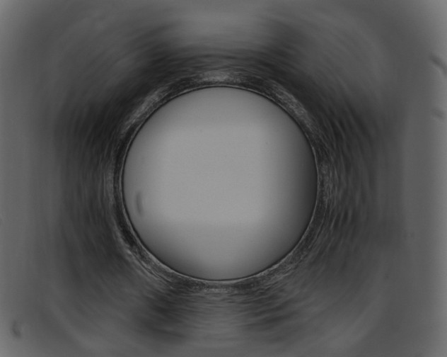 X0000096650482200802050937