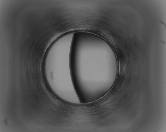 X0000096650483200802050937