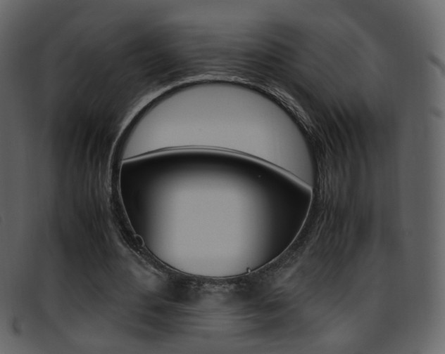 X0000096650484200802050937