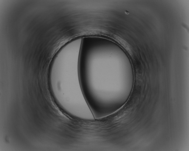 X0000096650485200802050937