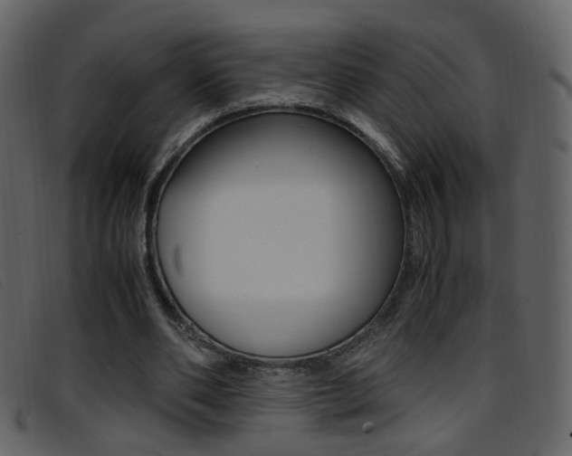 X0000096650486200802050937