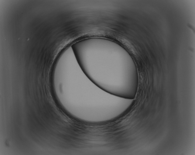 X0000096650487200802050937