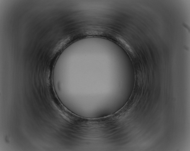 X0000096650490200802050937