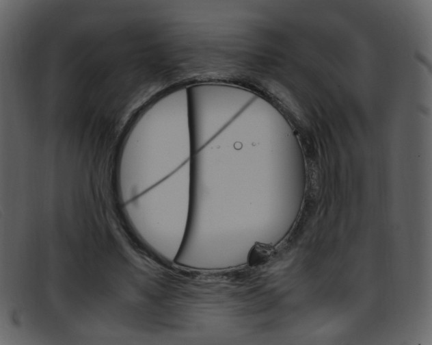 X0000096650491200802050937