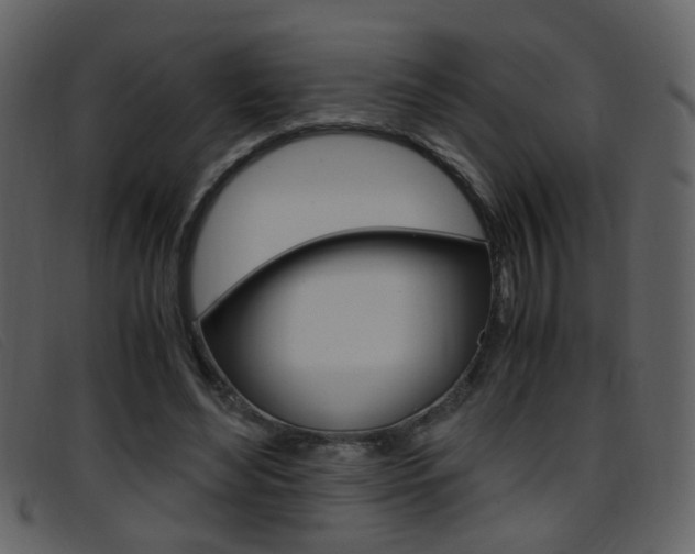 X0000096650492200802050937
