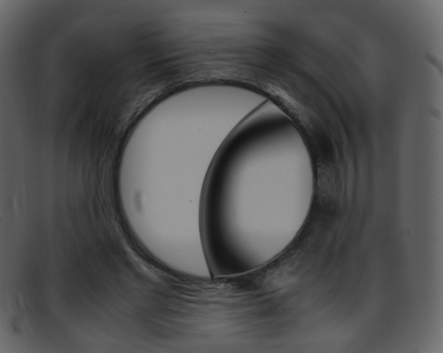 X0000096650493200802050937