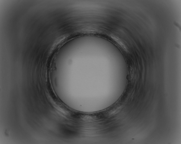 X0000096650494200802050937