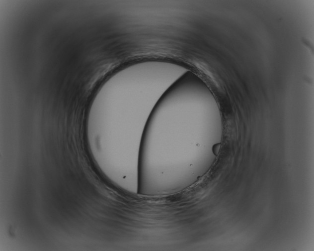 X0000096650495200802050937