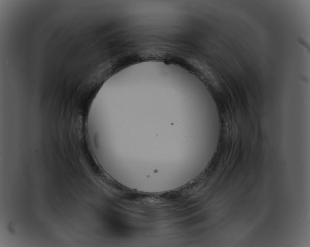 X0000096650498200802050937
