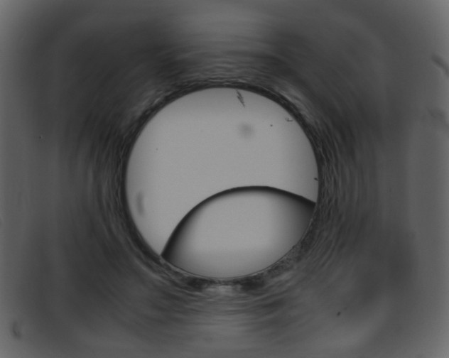 X0000096650499200802050937