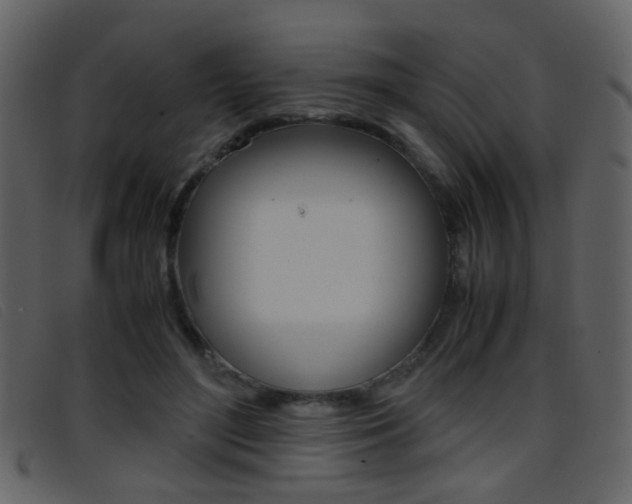 X0000096650500200802050937